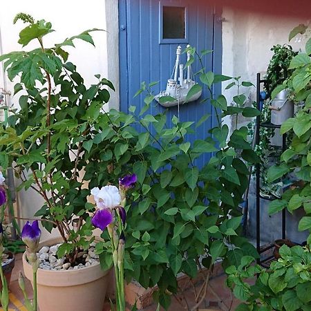 La Maison De St Victor Bed and Breakfast Saint-Victor-de-Malcap Esterno foto
